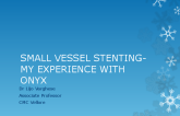 Small Vessel Stenting - My Experience With ONYX