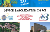 Device Embolization in PCI