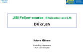 JIM Fellow course: Bifurcation and LM DK crush