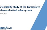 Early feasibility study of the Cardiovalve transfemoral mitral valve system 