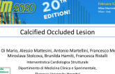 Calcified Occluded Lesion