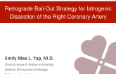 Retrograde Bail-Out Strategy for Iatrogenic Dissection of the Right Coronary Artery
