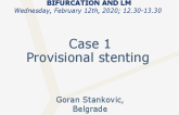 Case 1 Provisional Stenting