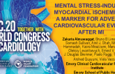 Mental Stress-Induced Myocardial Ischemia as a Marker for Adverse Cardiovascular Events After MI