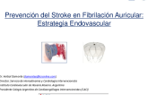 Prevención del Stroke en Fibrilación Auricular: Estrategia Endovascular