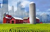 Rural-Urban Gap Widens for Cardiometabolic Health Disparities