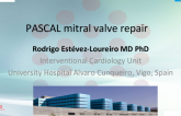 PASCAL Mitral Valve Repair