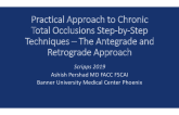 Practical Approach to Chronic Total Occlusions Step-by-Step Techniques – The Antegrade and Retrograde Approach