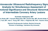 TCT 284: Intravascular Ultrasound Radiofrequency Signal Analysis for Simultaneous Assessment of Functional Significance and Structural Abnormality of Intermediate Coronary Artery Lesions