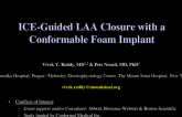TCT 446: ICE-Guided LAA Closure With a Conformable Foam Implant