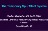 Temporary Spur Stent System for PVD Interventions (ReFlow)