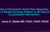 TCT 504: Use of Occlutech® Atrial Flow Regulator in a Single Ventricle Patient: A 3D View of a Successful Intervention