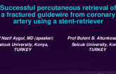 TCT 583: Successful Percutaneous Retrieval of a Fractured Guidewire in Coronary Artery Using a Stent-Retriever