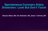 TCT 594: Spontaneous Coronary Artery Dissection: Look But Don’t Touch