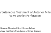 TCT 508: Percutaneous Closure of Anterior Mitral Leaflet Perforation Using a Paravalvular Leak Device