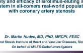 TCT 390: Safety and Efficacy of Sirolimus-Eluting Stent System in All-Comers Real-World Population With Coronary Artery Stenosis: The MILES-Global Study