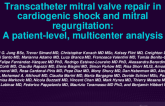 TCT 336: Transcatheter Mitral Valve Repair in Cardiogenic Shock and Mitral Regurgitation: A Patient-Level, Multi-Center Analysis