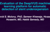 TCT 413: Evaluation of the DeepIVUS machine learning platform for automatic detection of stent underexpansion