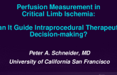 Perfusion Measurement in Critical Limb Ischemia: Can It Guide Intraprocedural Therapeutic Decision-making?