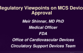 Regulatory Viewpoints on MCS Device Approval