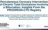 TCT 236: Percutaneous Coronary Intervention of Chronic Total Occlusions Involving a Bifurcation: Insights From the PROGRESS-CTO Registry