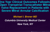 TCT 341: One Year Clinical Outcomes Following Open Transatrial Transcatheter Mitral Valve Replacement in Patients With Severe Mitral Annular Calcification