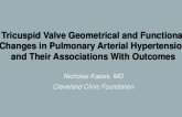 TCT 496: Tricuspid Valve Geometrical and Functional Changes and Their Associations With Outcomes in Pulmonary Arterial Hypertension