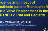 TCT 474: Incidence and Impact of Prosthesis-Patient Mismatch After Aortic Valve Replacement in the PARTNER 2 Trial and Registry