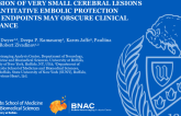 TCT 484: Inclusion of Very Small Cerebral Lesions in Quantitative Embolic Protection Study Endpoints May Obscure Clinical Relevance