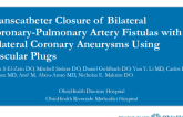 TCT 517: Transcatheter Closure of Bilateral Coronary-Pulmonary Artery Fistulas with Bilateral Coronary Aneurysms Using Vascular Plugs
