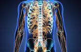 Splanchnic Nerve Ablation Improves HFpEF Symptoms, QoL in FIH Study
