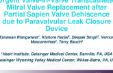 TCT 570: Urgent Valve-in-Valve Transcatheter Mitral Valve Replacement After Partial Sapien Valve Dehiscence due to Paravalvular Leak Closure Device