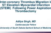 TCT 677: Inter-coronary Thrombus Migration In ST Elevation Myocardial Infarction (STEMI) Following Power Aspiration Thrombectomy.