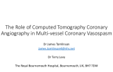 TCT 582: To Coronary Atheroma or Not? The Role of Computed Tomography – Coronary Angiography in the Differential of Coronary Artery Lesions.