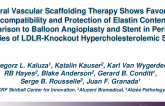 TCT 362: Natural Vascular Scaffolding Therapy Shows Favorable Biocompatibility and Protection of Elastin Content in Comparison to Balloon Angioplasty and Stent in Peripheral Arteries of LDLR-Knockout Hypercholesterolemic Swine