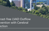TCT 510: Contrast-free LVAD Outflow Intervention With Cerebral Protection