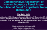 Anatomy of Human Accessory Renal Artery Peri-Arterial Renal Sympathetic Nerve for Renal Denervation