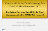 Debate: What Should Be the Default Strategy for a True Left Main Bifurcation PCI? - Provisional Stenting Should Be the Gold Standard, and EBC-MAIN Will Prove It!