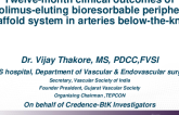 TCT 317: Twelve-Month Clinical Outcomes of Sirolimus-Eluting Bioresorbable Peripheral Scaffold System Following Percutaneous Transluminal Angioplasty of Below-the-Knee Arteries in Patients With Critical Limb Ischaemia: The CREDENCE BtK-1 Study