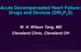 Acute Decompensated Heart Failure: Drugs and Devices (DRIIPPS)