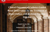 TCT 421: Clinical Outcomes of Catheter-Guided Renal Denervation for the Treatment of Heart Failure With Reduced Ejection Fraction