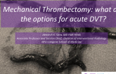 Mechanical Thrombectomy: what are the options for acute DVT?