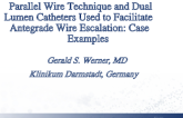 Parallel Wire Technique and Dual Lumen Catheters Used to Facilitate Antegrade Wire Escalation: Case Examples