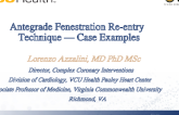 Antegrade Fenestration Re-entry Technique — Case Examples