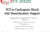 PCI in Cardiogenic Shock with Hemodynamic Support