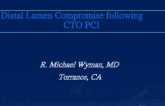 Distal Lumen Compromise following CTO PCI