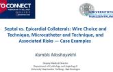 Septal vs. Epicardial Collaterals: Wire Choice and Technique, Microcatheter and Technique, and Associated Risks — Case Examples