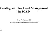 Cardiogenic Shock and Management in SCAD