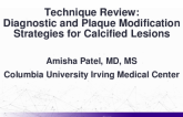 Technique Review: Diagnostic and Plaque Modification Strategies for Calcified Lesions
