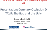 Case Presentation: Coronary Occlusion During TAVR: The Bad and the Ugly